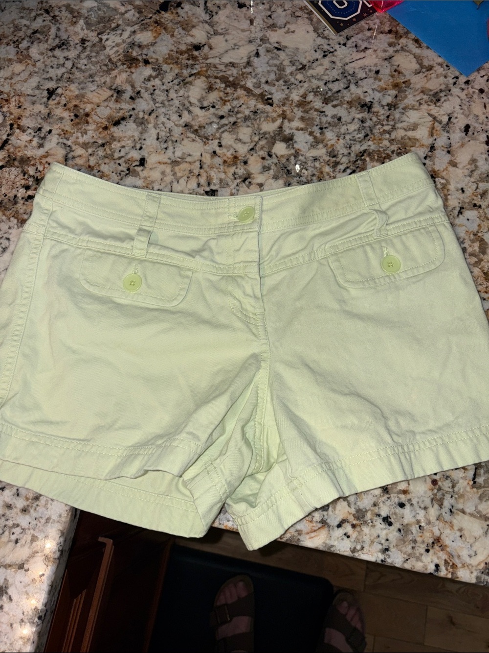 Ann Taylor Loft Women's Light Green Cotton Shorts size 4